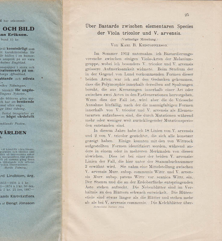 Karl Birger Kristofferson : Über Bastarde zwischen elementaren Species der Viola tricolor und V. arvensis. (Vorläufige Mitteilung.)
