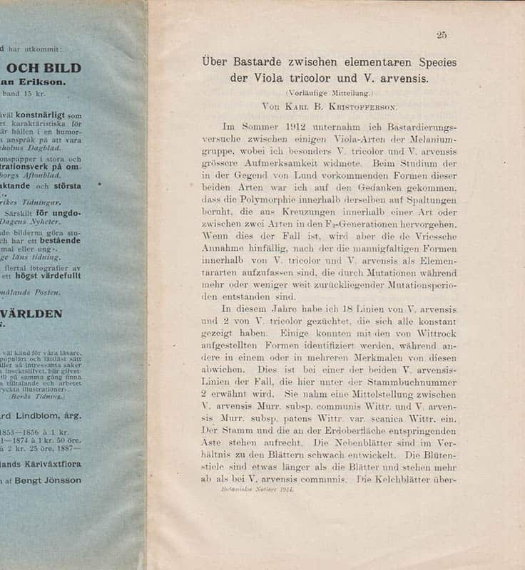 Karl Birger Kristofferson : Über Bastarde zwischen elementaren Species der Viola tricolor und V. arvensis. (Vorläufige Mitteilung.)