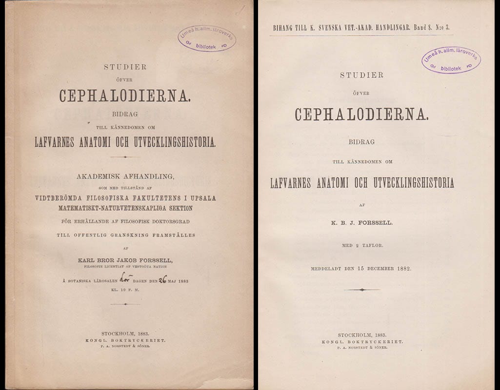 Karl Bror Jakob Forssell : Studier öfver cephalodierna