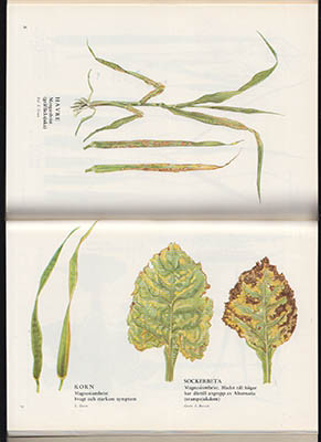 Karl Lundblad : Kulturväxternas bristsjukdomar