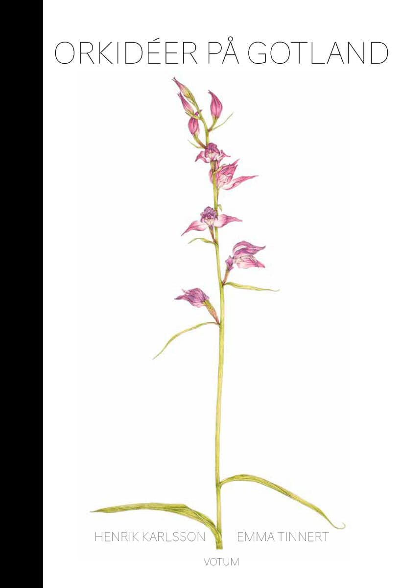 Karlsson, Henrik; Tinnert, Emma : Orkidéer på Gotland