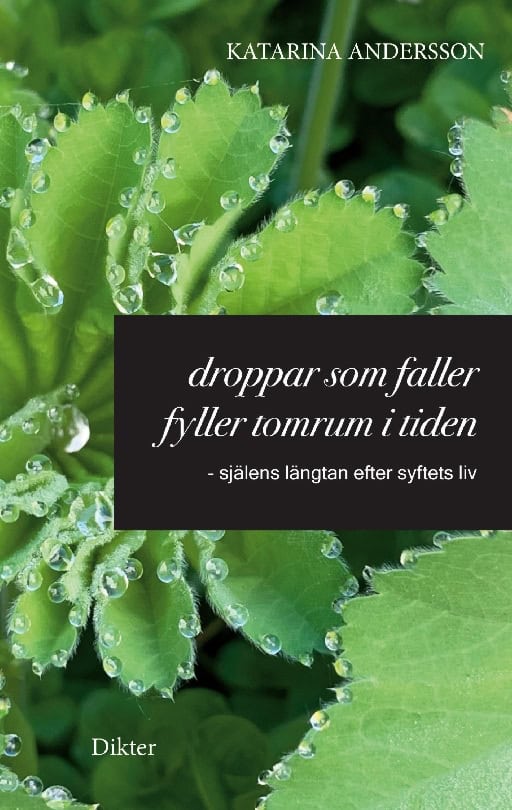 Katarina Andersson : Droppar som faller fyller tomrum i tiden : själens längtan efter syftets liv
