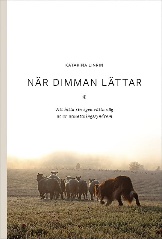 Katarina Linrin : När dimman lättar
