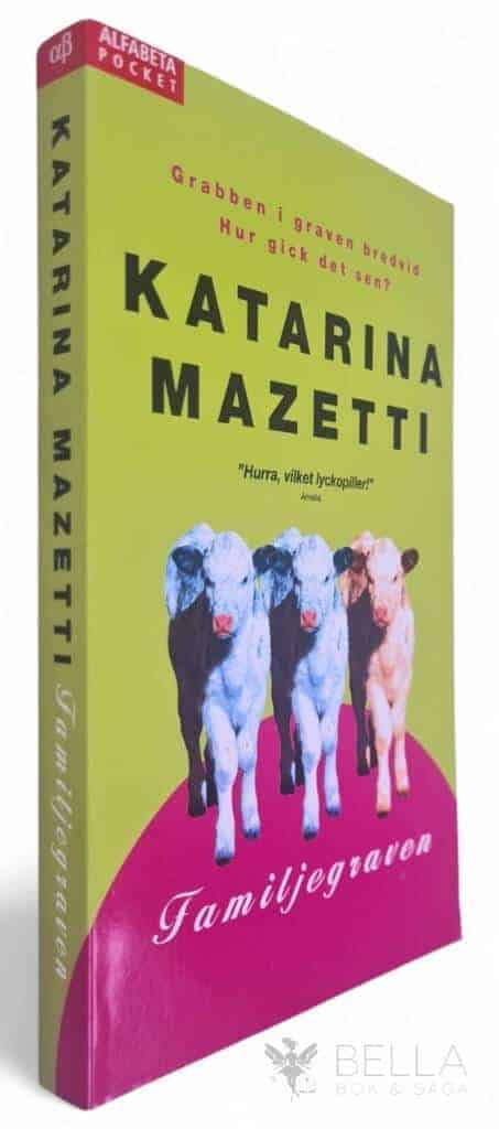 Katarina Mazetti : Familjegraven