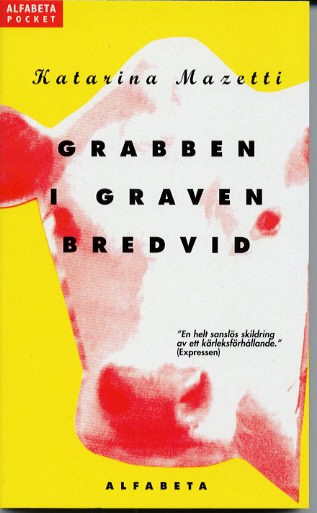 Katarina Mazetti : Grabben i graven bredvid