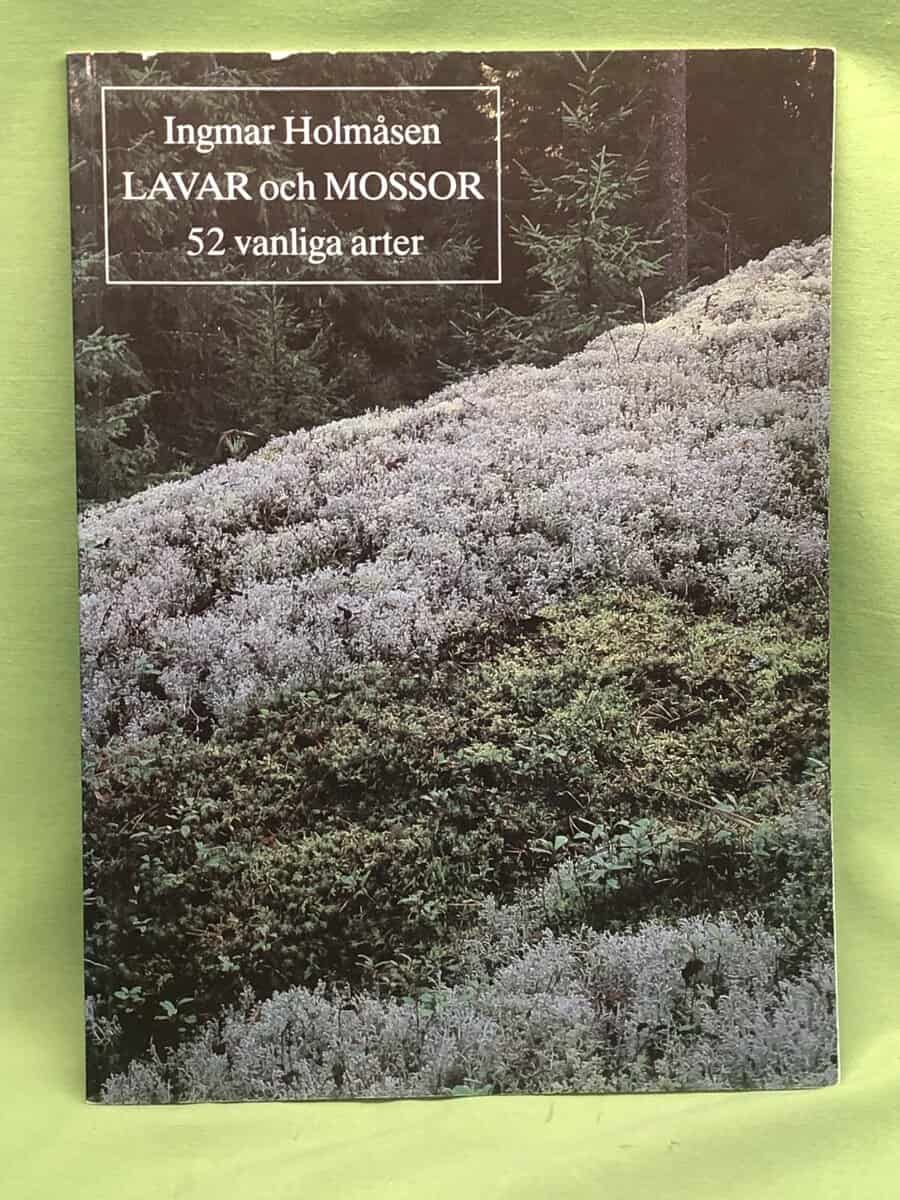 Katarina Mazetti : Monster och mörker