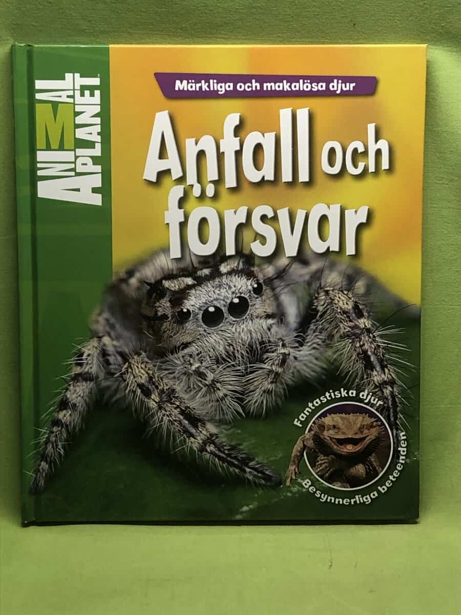 Kathy Riley : Märkliga och makalösa djur