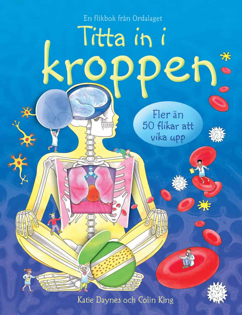 Katie Dynes : Titta in i kroppen