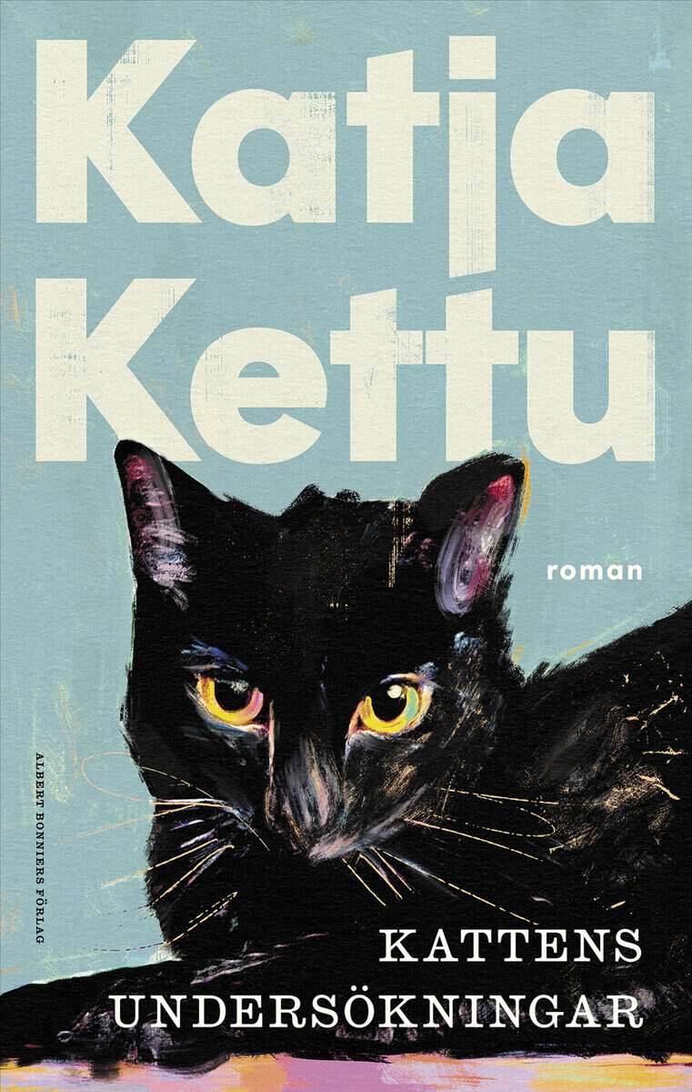 Katja Kettu : Kattens undersökningar