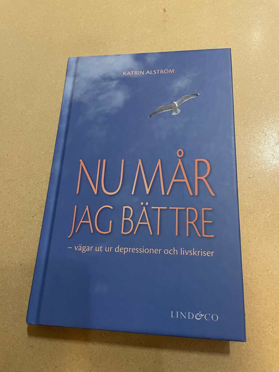 Katrin Alström : Nu mår jag bättre