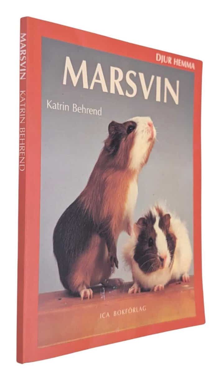 Katrin Behrend : Marsvin