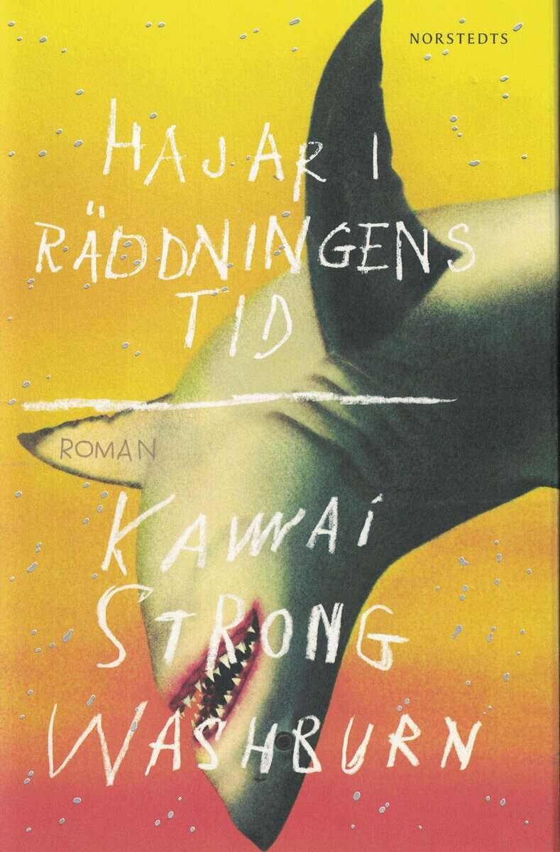 Kawai Strong Washburn : Hajar i räddningens tid