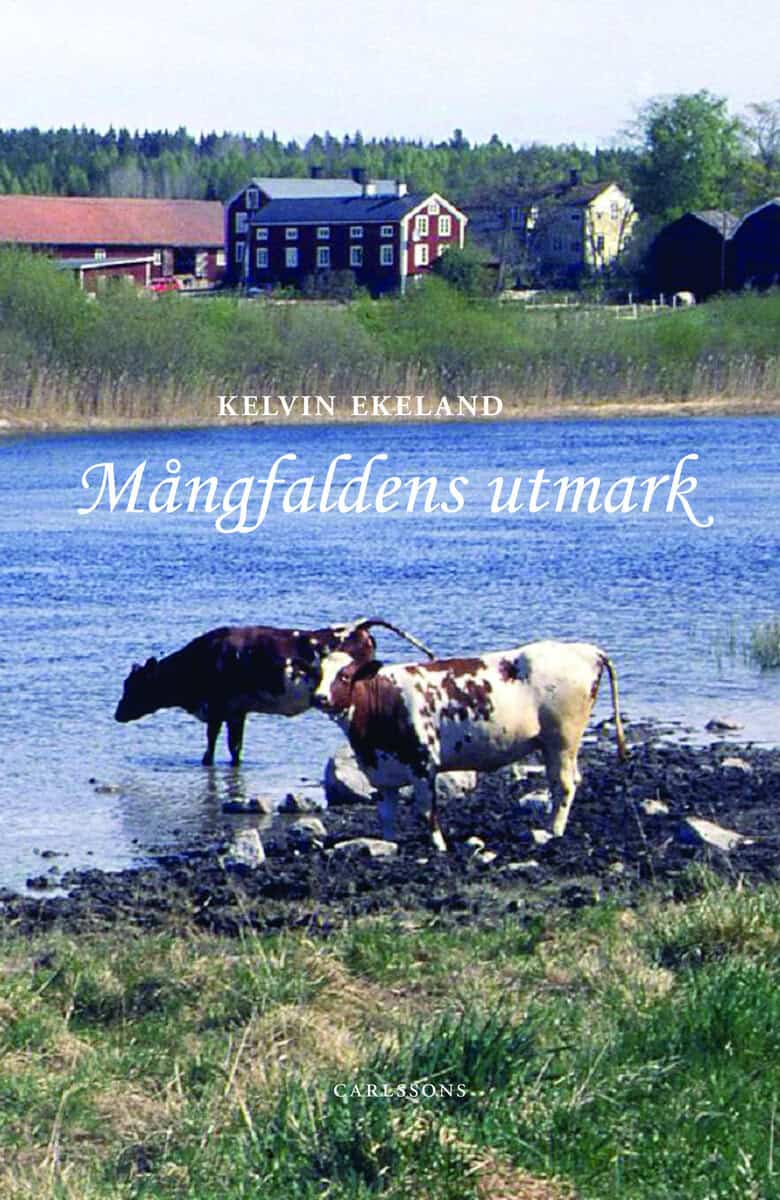 Kelvin Ekeland : Mångfaldens utmark
