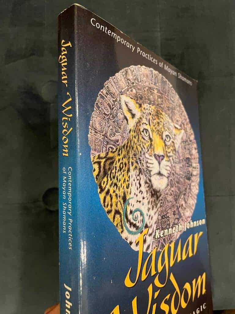 Ken Johnson : Jaguar Wisdom