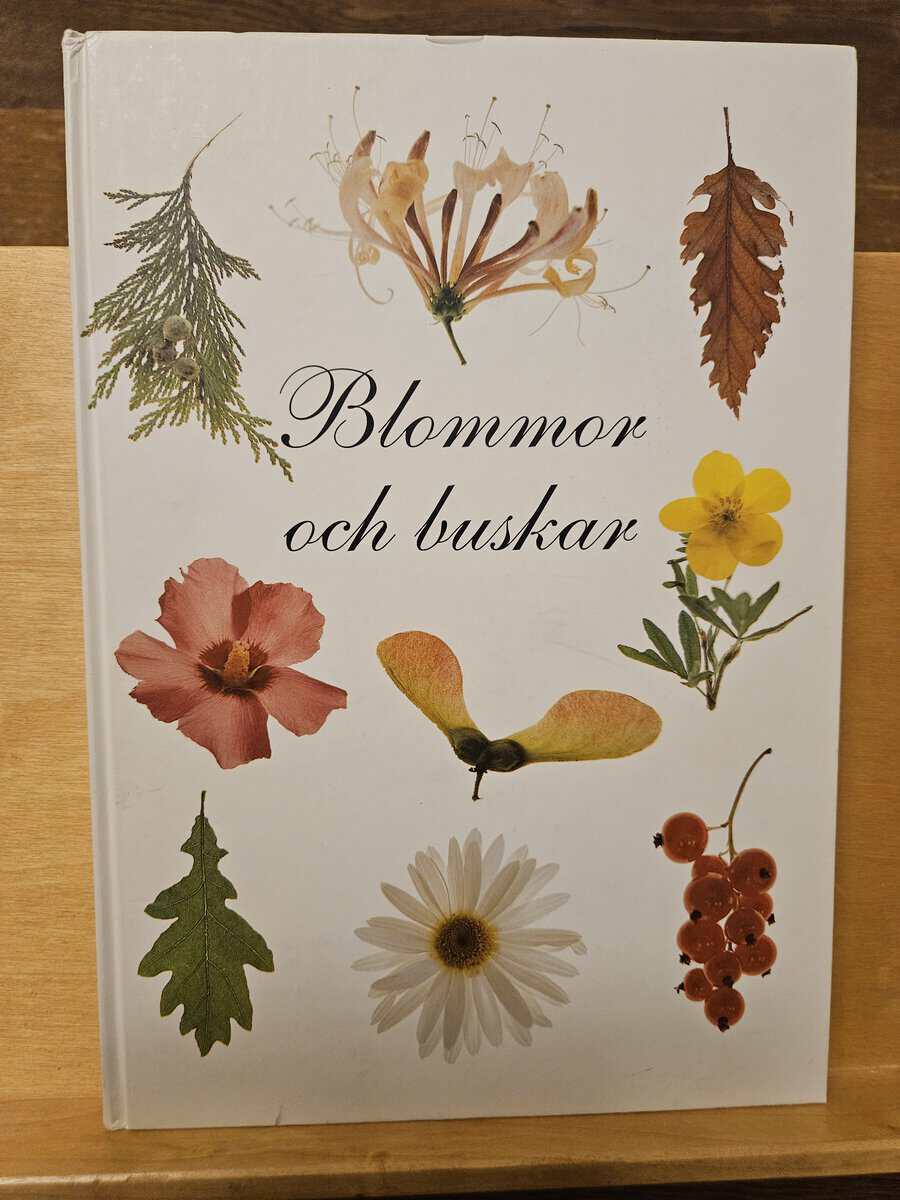 Kenneth Lorentzon : Blommor och buskar