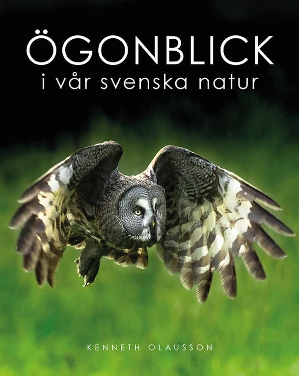 Kenneth Olausson : Ögonblick i vår svenska natur