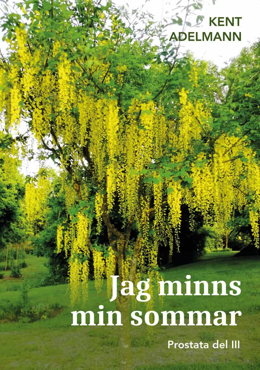 Kent Adelmann : Jag minns min sommar