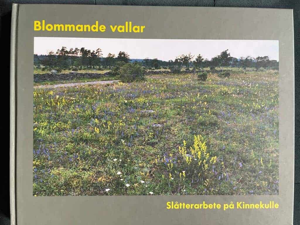 Kent Boström : Blommande vallar
