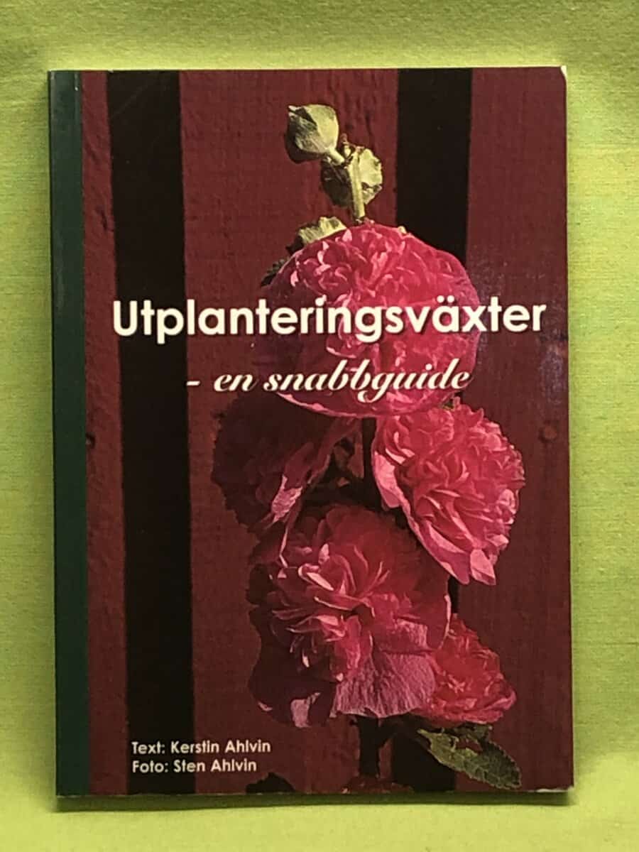 Kerstin Ahlvin : Utplanteringsväxter