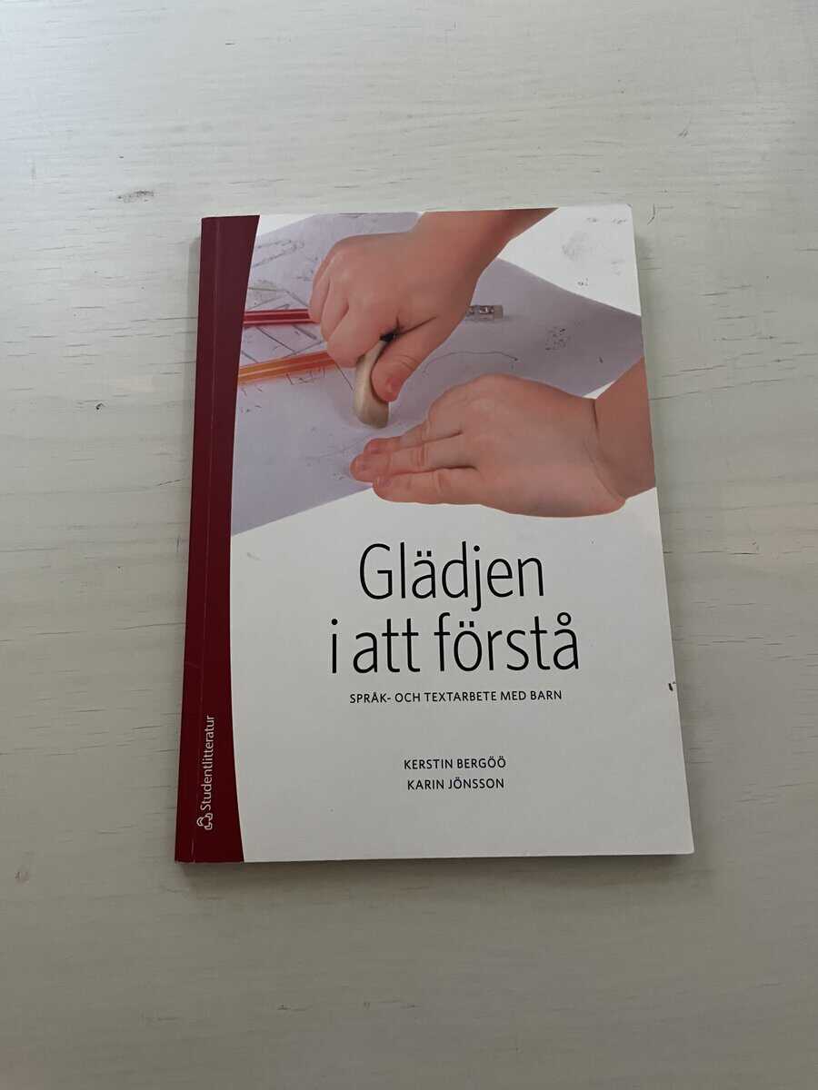 Kerstin Bergöö : Glädjen i att förstå