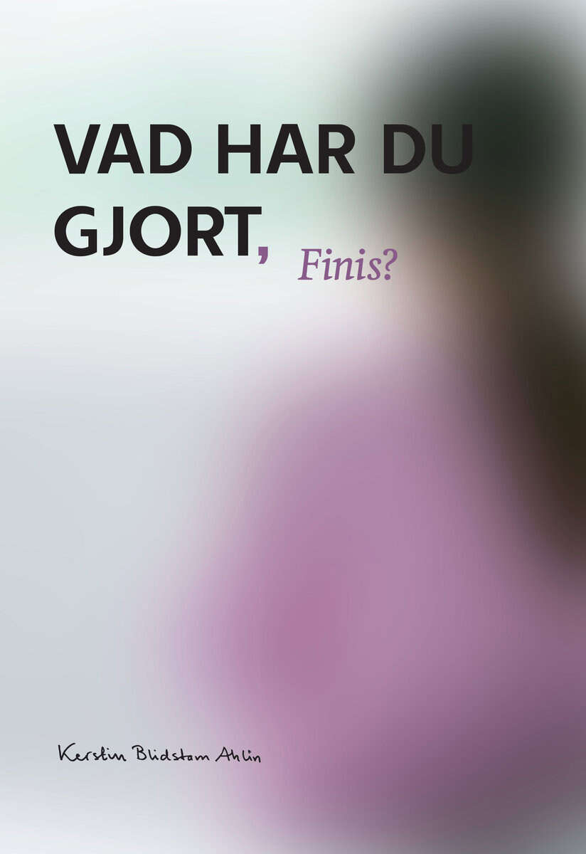 Kerstin Blidstam Ahlin : Vad har du gjort Finis?