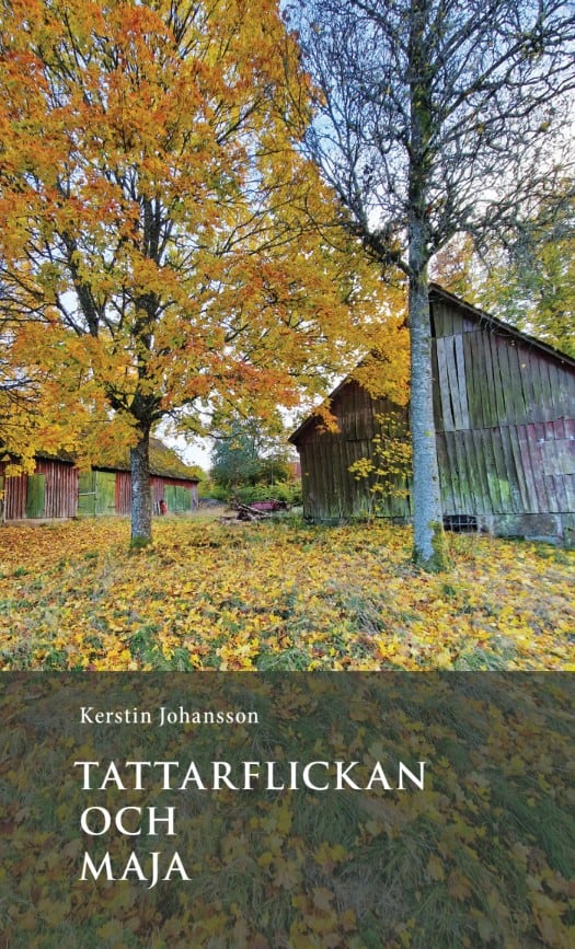 Kerstin Johansson : Tattarflickan och Maja