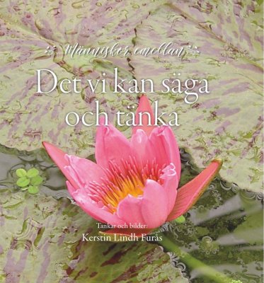 Kerstin Lindh Furås : Det vi kan säga och tänka