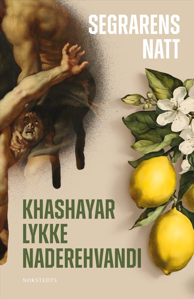 Khashayar Lykke Naderehvandi : Segrarens natt
