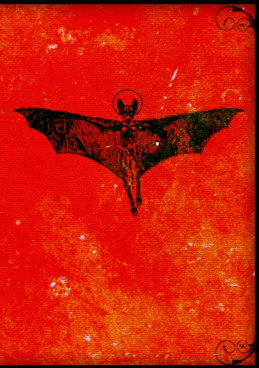 Kim Larsson : Eremonaut II