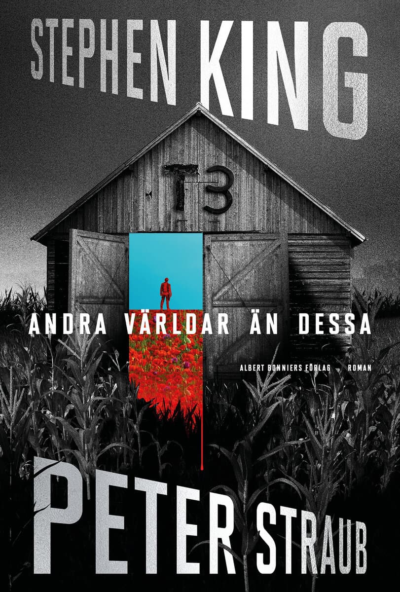 King, Stephen ; Straub, Peter : Andra världar än dessa