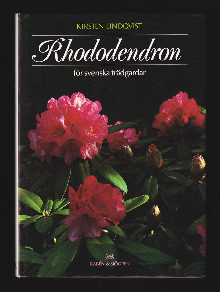 Kirsten Lindqvist : Rhododendron för svenska trädgårdar