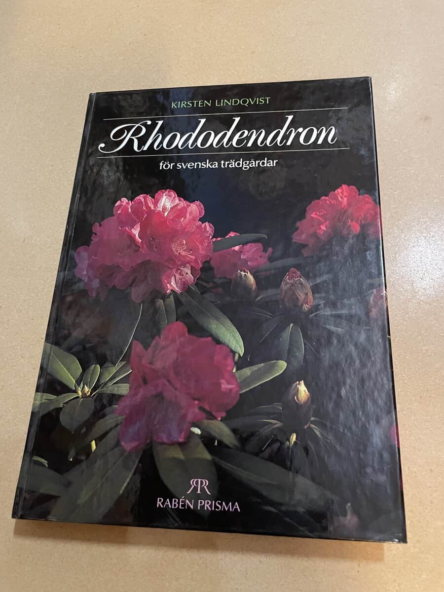 Kirsten Lindqvist : Rhododendron för svenska trädgårdar