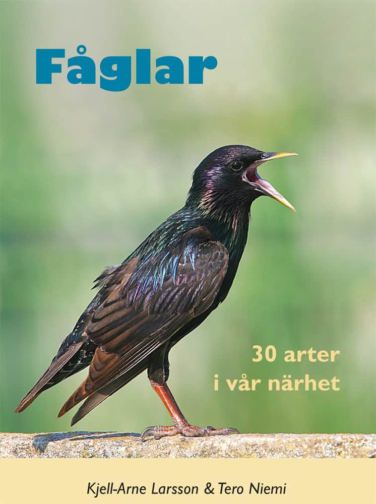 Kjell-Arne Larsson : Fåglar : 30 arter i vår närhet