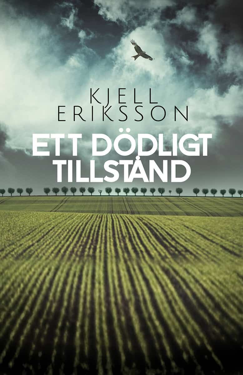 Kjell Eriksson : Ett dödligt tillstånd