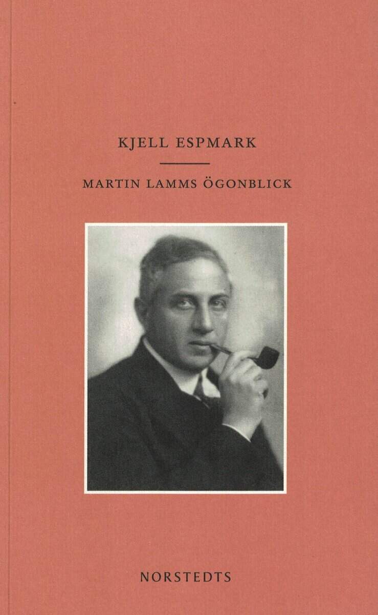 Kjell Espmark : Martin Lamms ögonblick