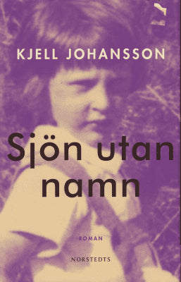 Kjell Johansson : Sjön utan namn