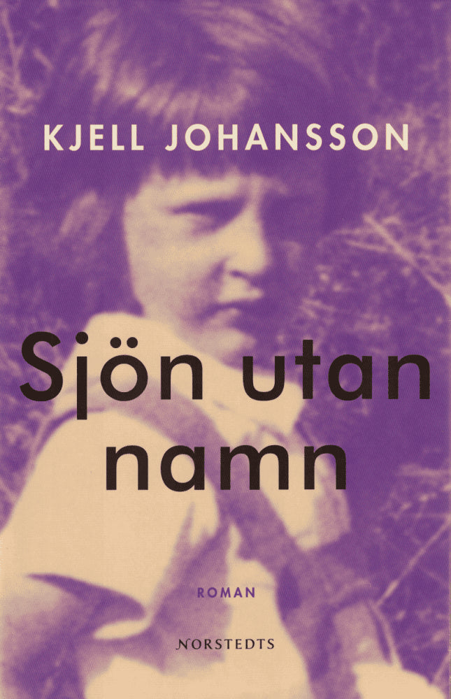 Kjell Johansson : Sjön utan namn