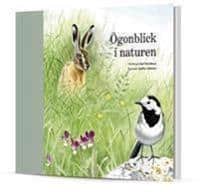 Kjell Stockhaus : Ögonblick i naturen