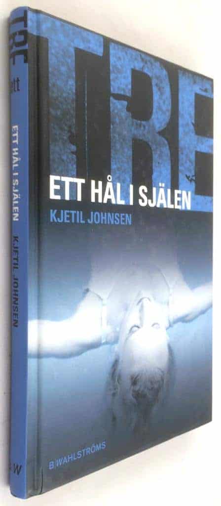 Kjetil Johnsen : TRE - Ett hål i själen