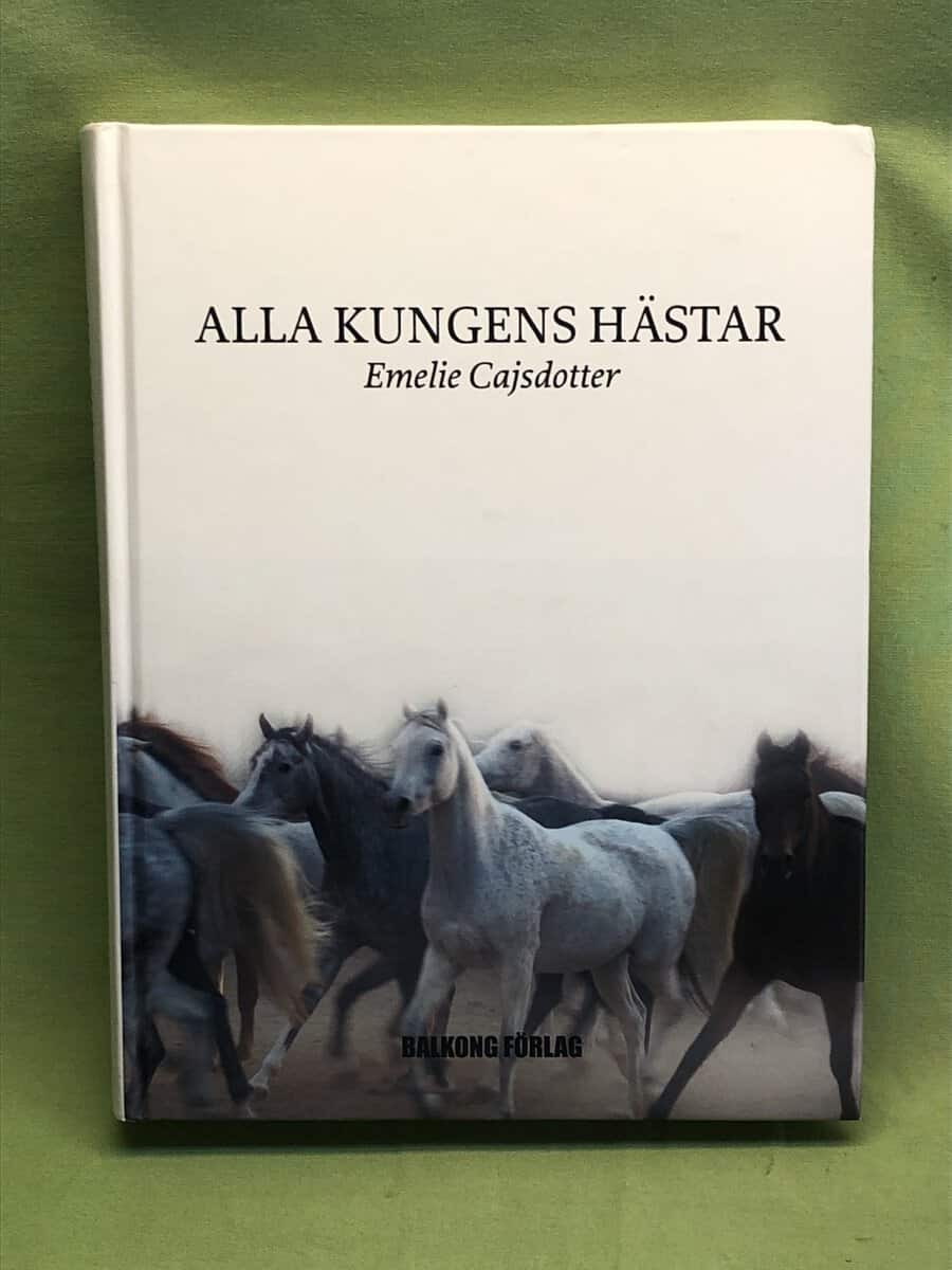 Kleberg von Sydow, Ebba, De Poret, Emilia : Säker stil - 101 stiltips