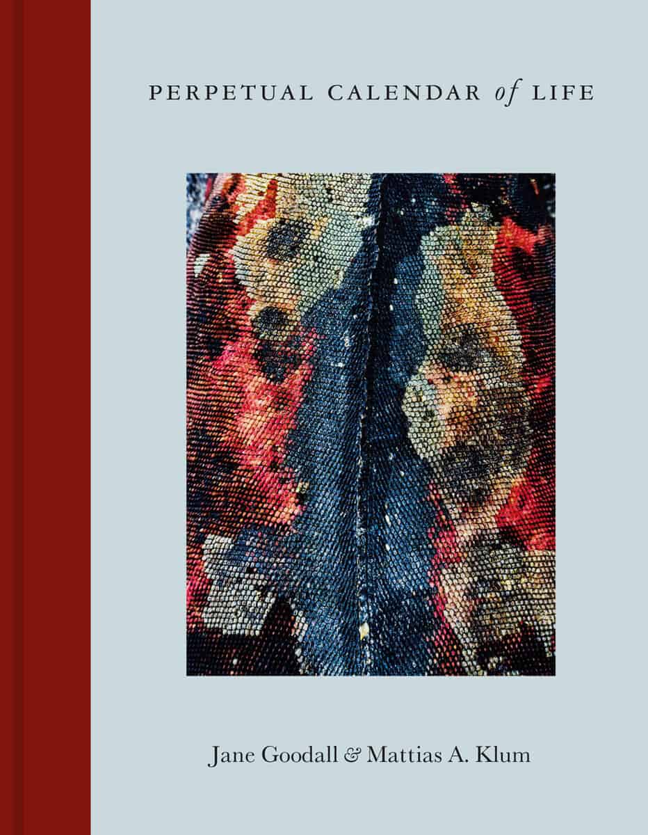 Klum, Mattias ; Goodall, Jane : Perpetual Calendar of life