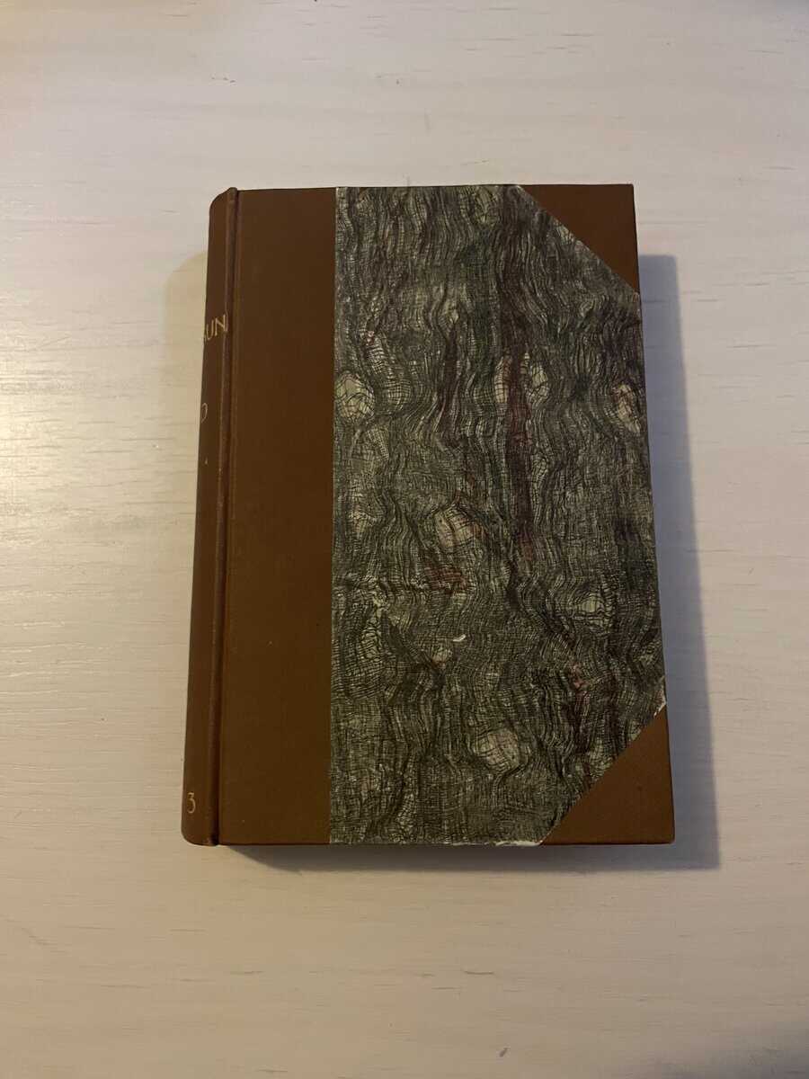 Knut Hamsun : Ny jord