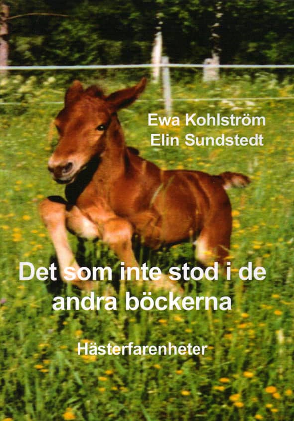 Kohlström, Ewa ; Sundstedt, Elin : Det som inte stod i de andra böckerna