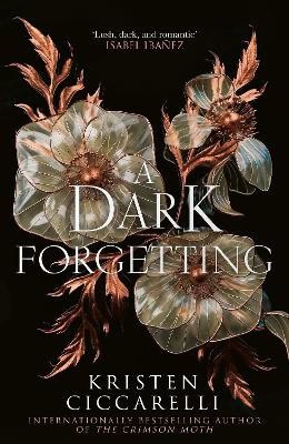 Kristen Ciccarelli : A Dark Forgetting