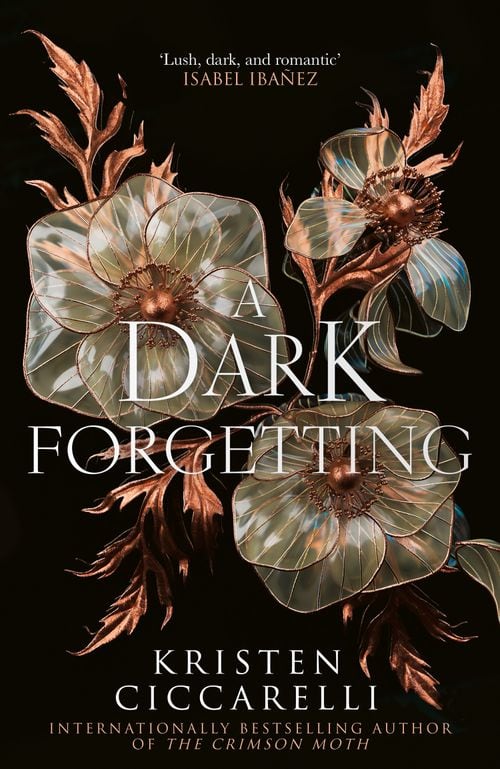 Kristen Ciccarelli : A Dark Forgetting