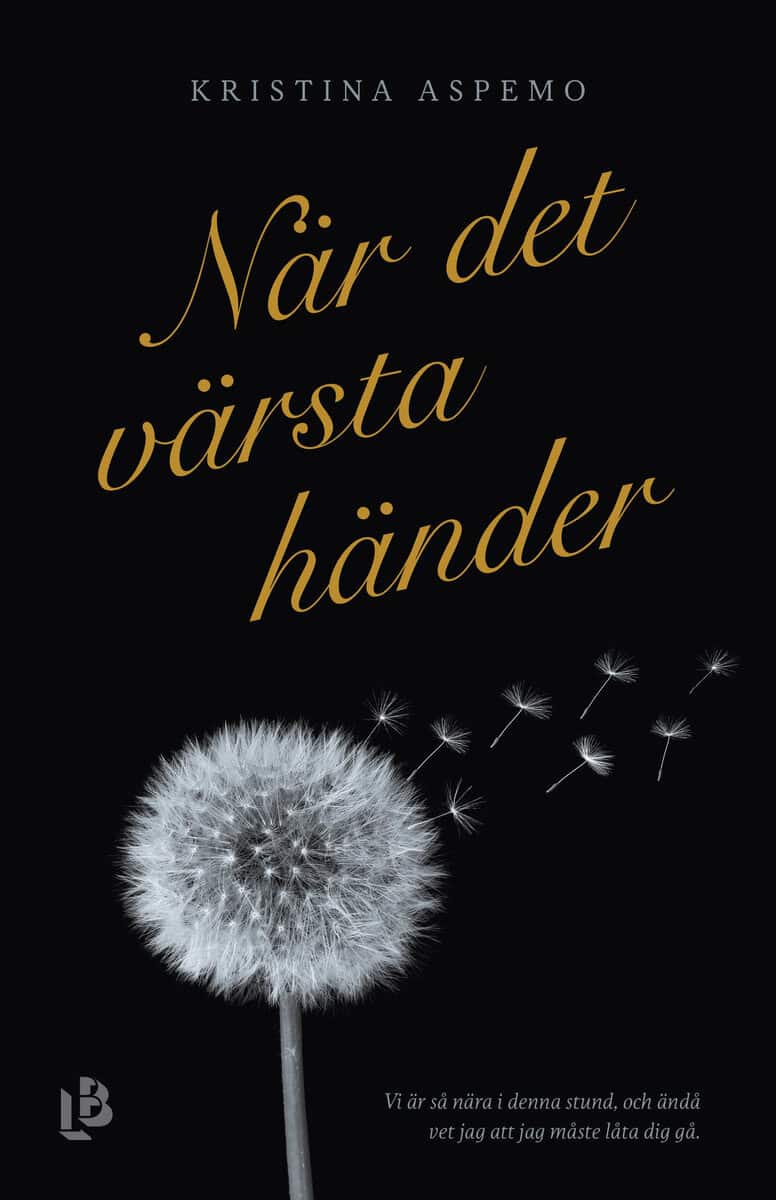 Kristina Aspemo : När det värsta händer : ett år av djupaste sorg, kärlek och förundran