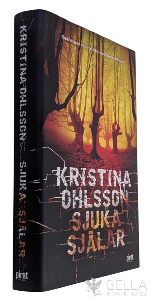 Kristina Ohlsson : Sjuka själar