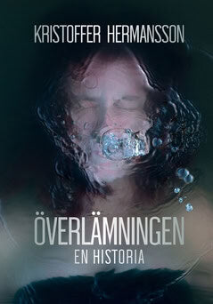 Kristoffer Hermansson : Överlämningen