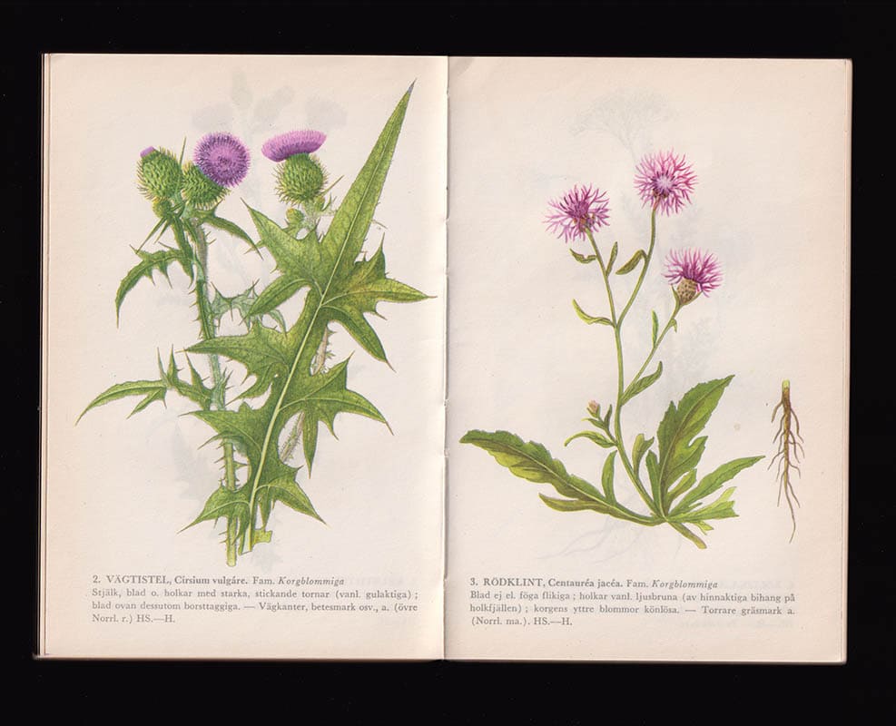 Krok, Th. O. B. N. (1834-1921) ; Almquist, Sigfrid (1844-1923) : Svensk skolflora. Fanerogamer och ormbunkväxter. Utgiven av Erik Almquist