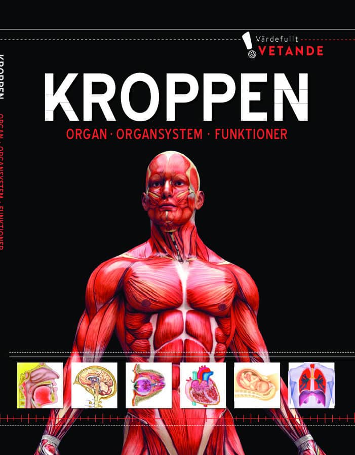 Kroppen